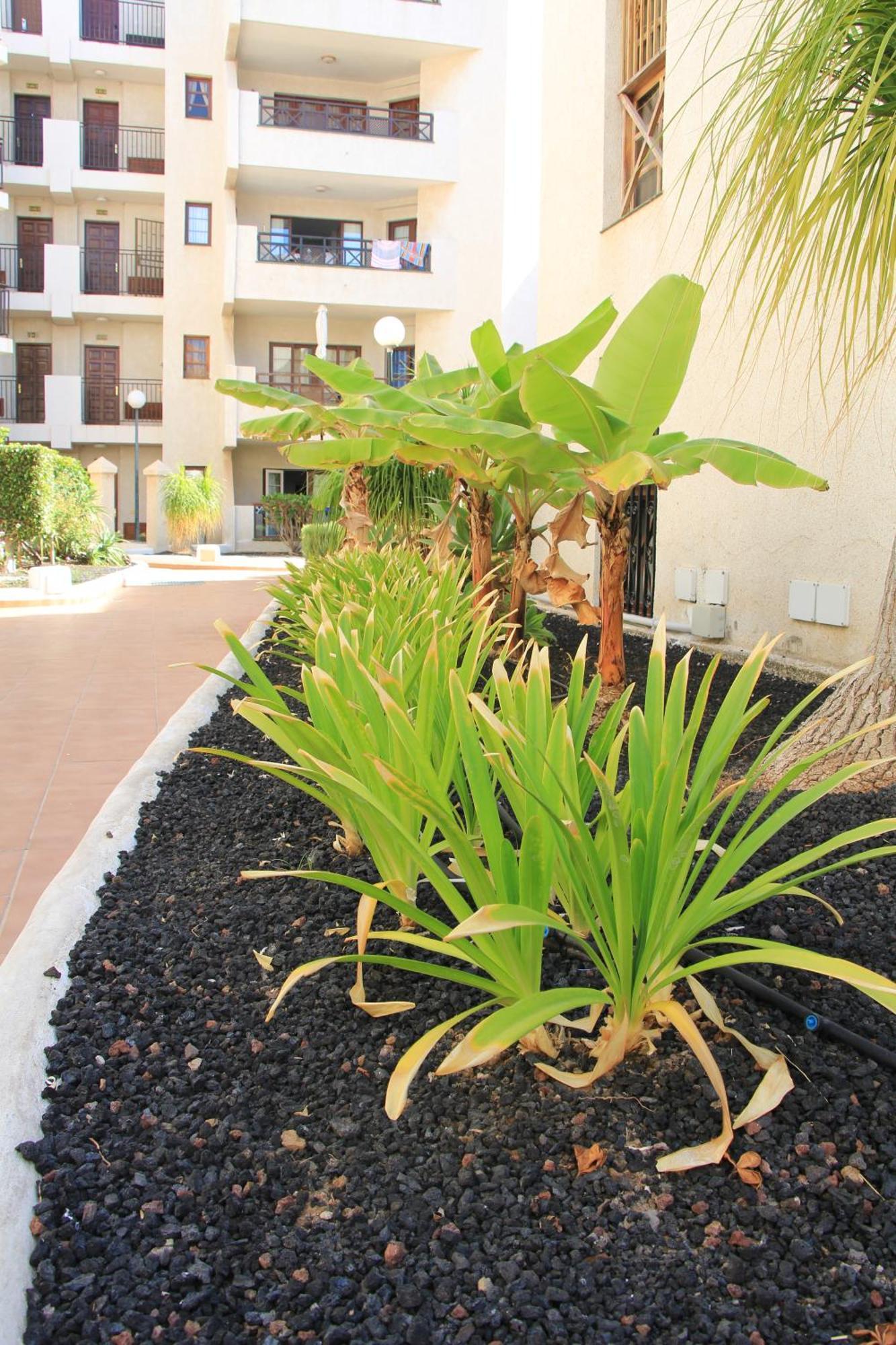 Las Americas - 2 Bedrooms - Flayla-A Arona  Exterior foto